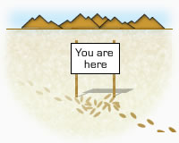 You are here: 